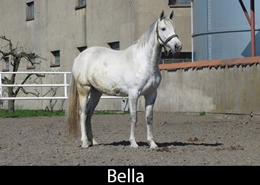 Bella