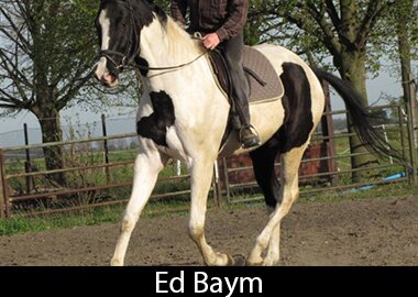 Ed Baym