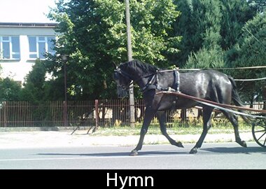 Hymn