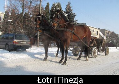 Łotr i Finezja