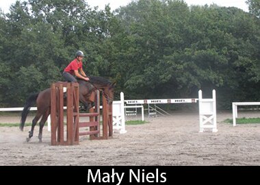 Mały Niels