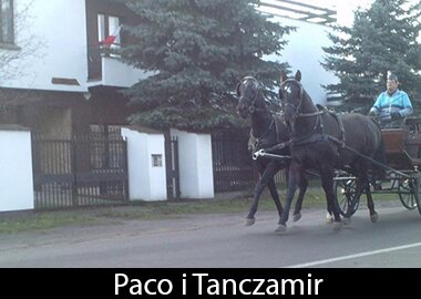 Paco i Tanczamir