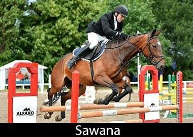 Sawana