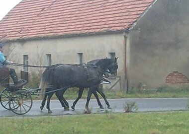brawuraiwera