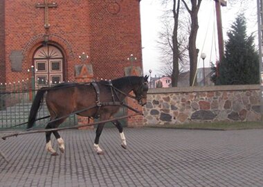 dzeronimo