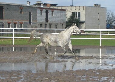 tamka